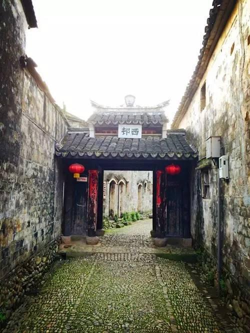 麦富迪牛肉双拼金环营养 到底牛在哪
